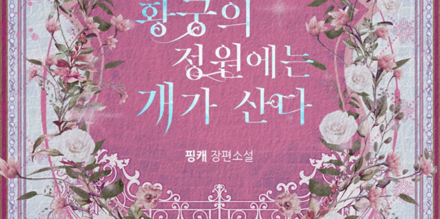 dog cover 3